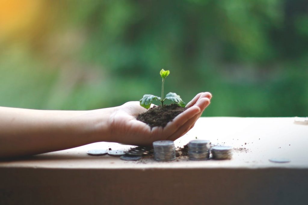 A hand cradles a young plant above coins, symbolizing financial growth and sustainability